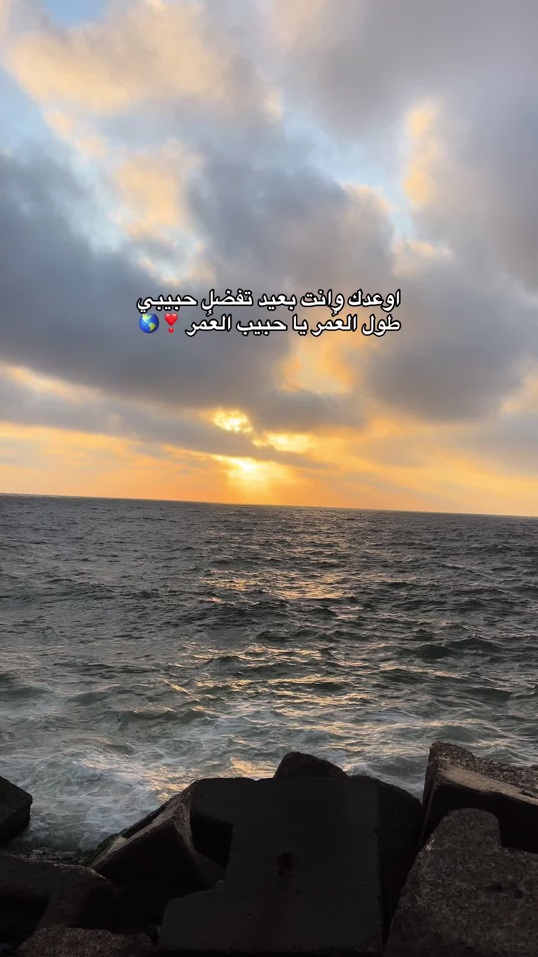@loza_adel