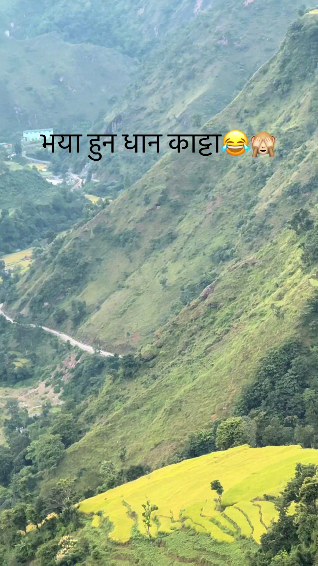 @RajEsh 🦅