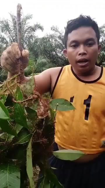 @Rike novrianda