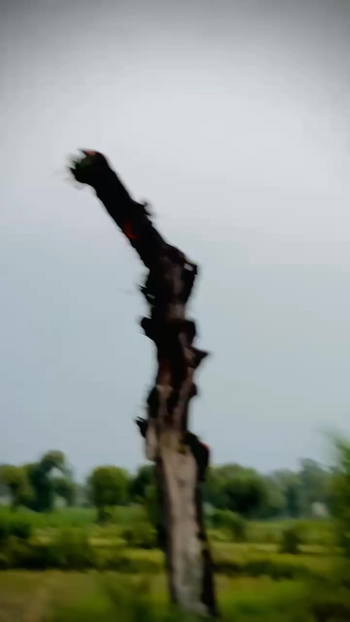 @Jugno 𝔹𝕣𝕒𝕟𝕕🇵🇰