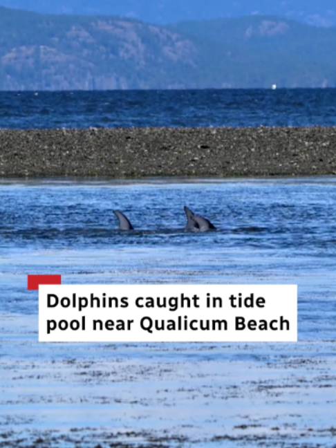 @CBC British Columbia
