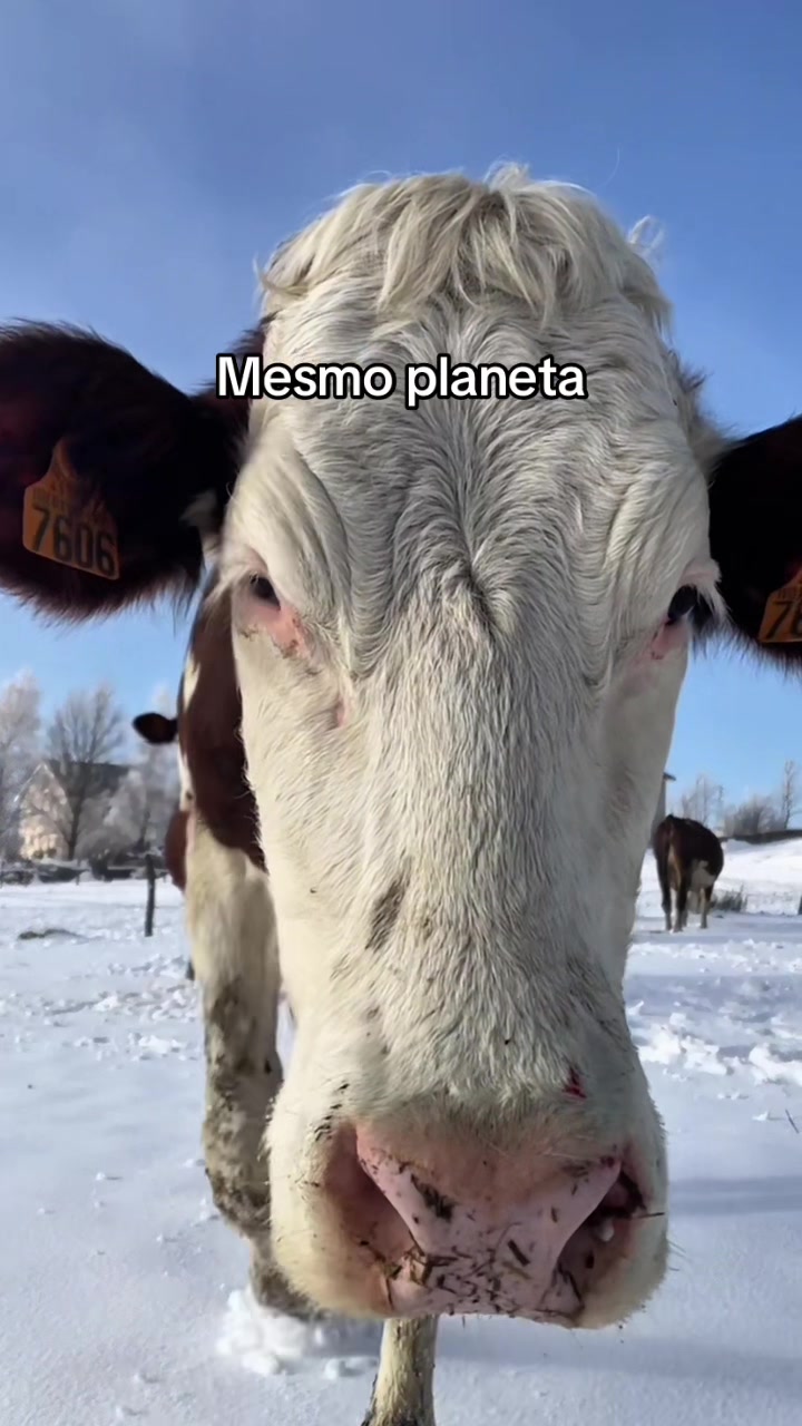 @Carne é cruel