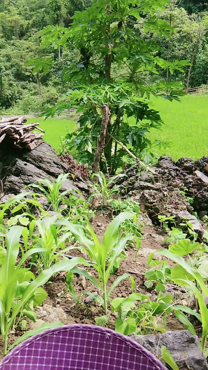 @devang8020