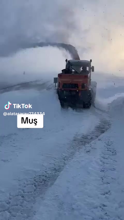 @Kemal Erez