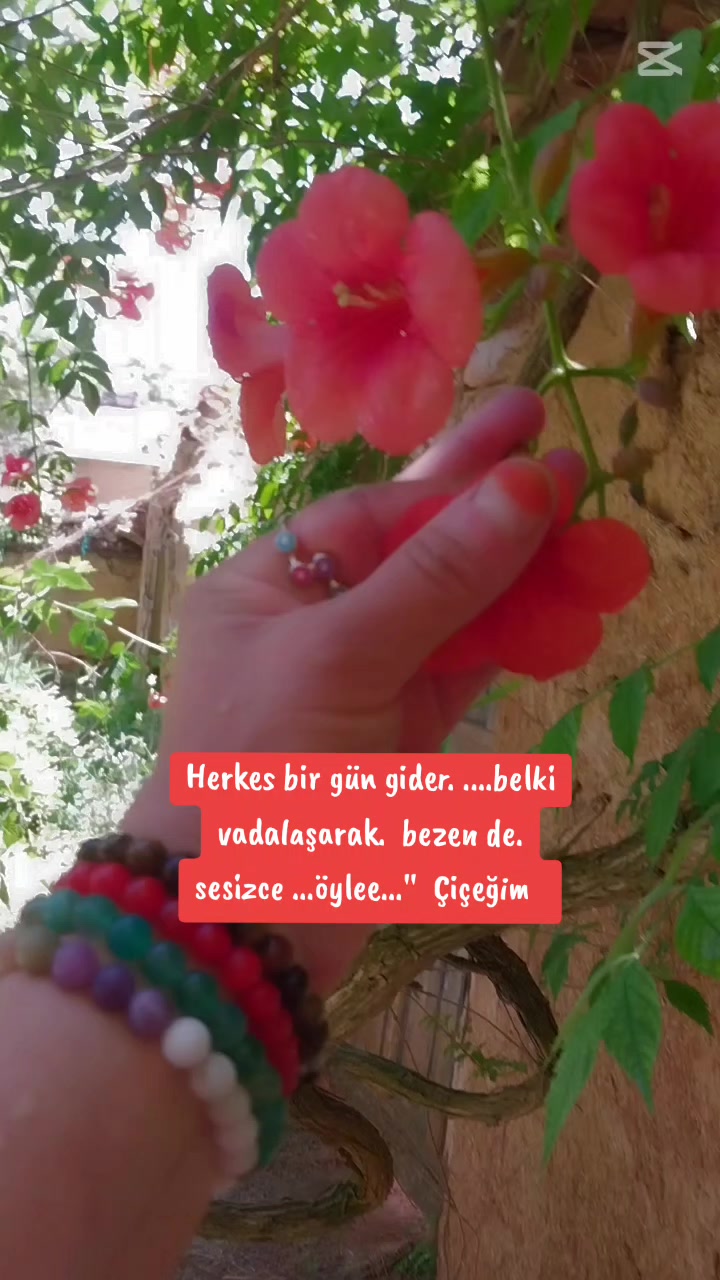 @🌹🌹ELA  G&Ouml;ZL&Uuml; 🌹🌹