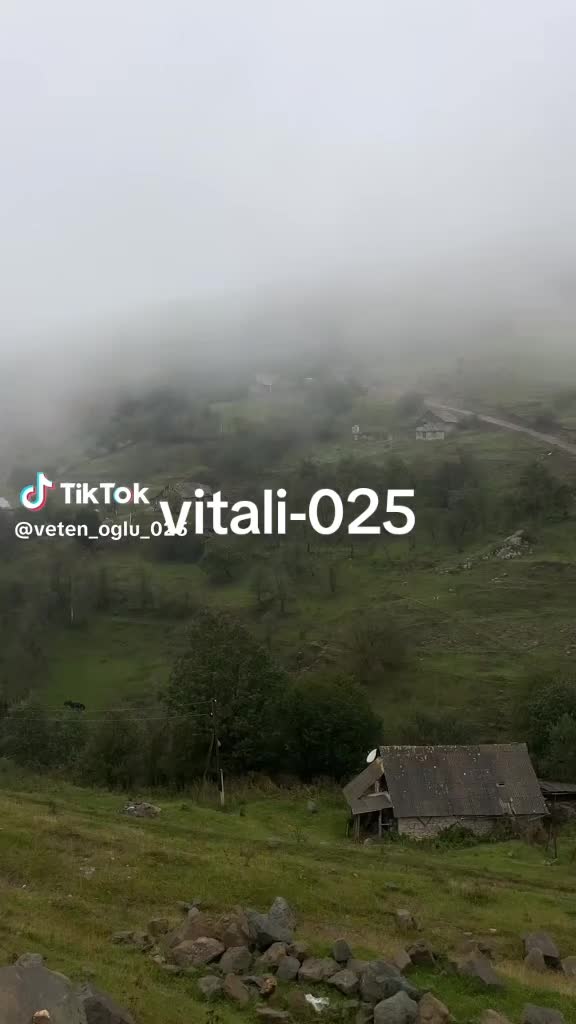 @V.İ.T.A.L.İ._025