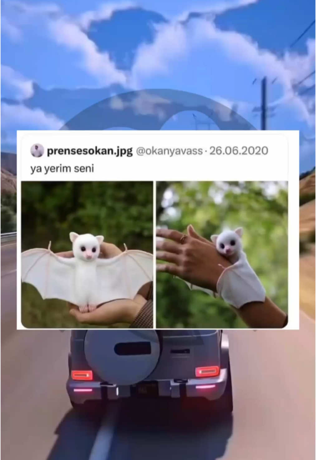 @funnypeopple