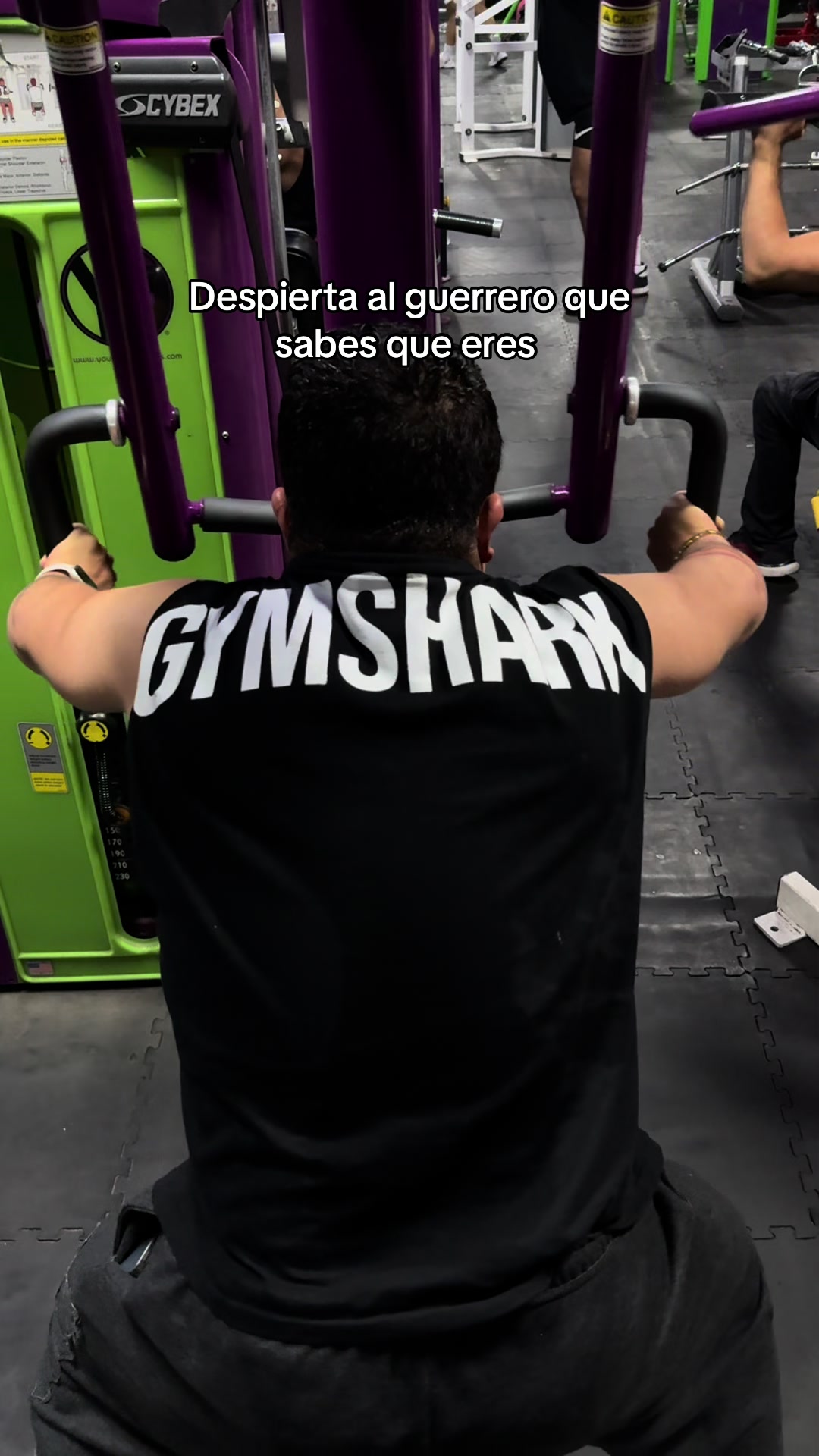 @Raul Tuck
