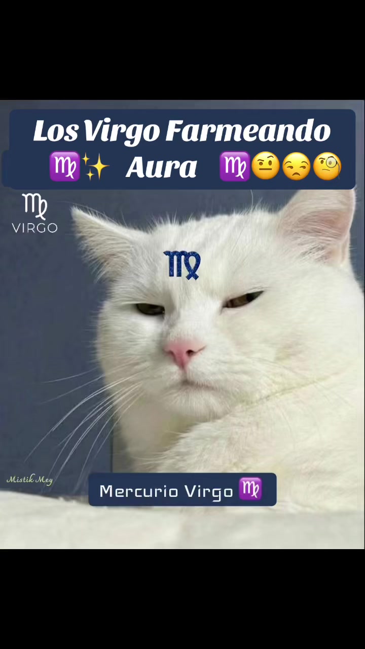 @🩷M E Y K O R 🩵🩷