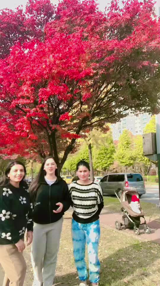 @Sushila Pandey28🇳🇵🇰🇷