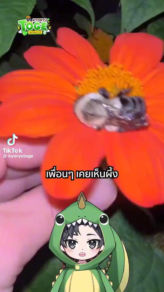 @ตุ้ม จันทาพูน