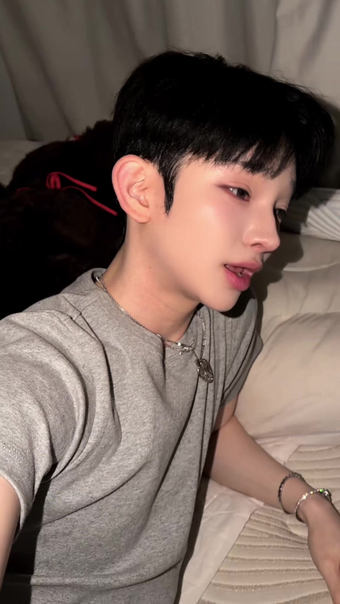 @sechan🔱