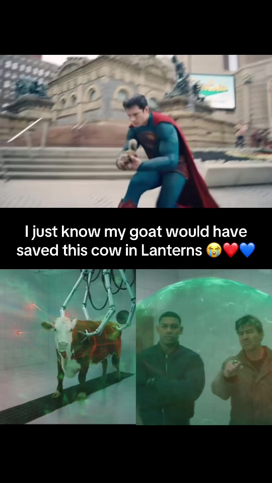 @blurayangel