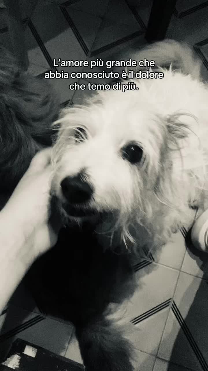 @G I U L I A ⚡🌪️
