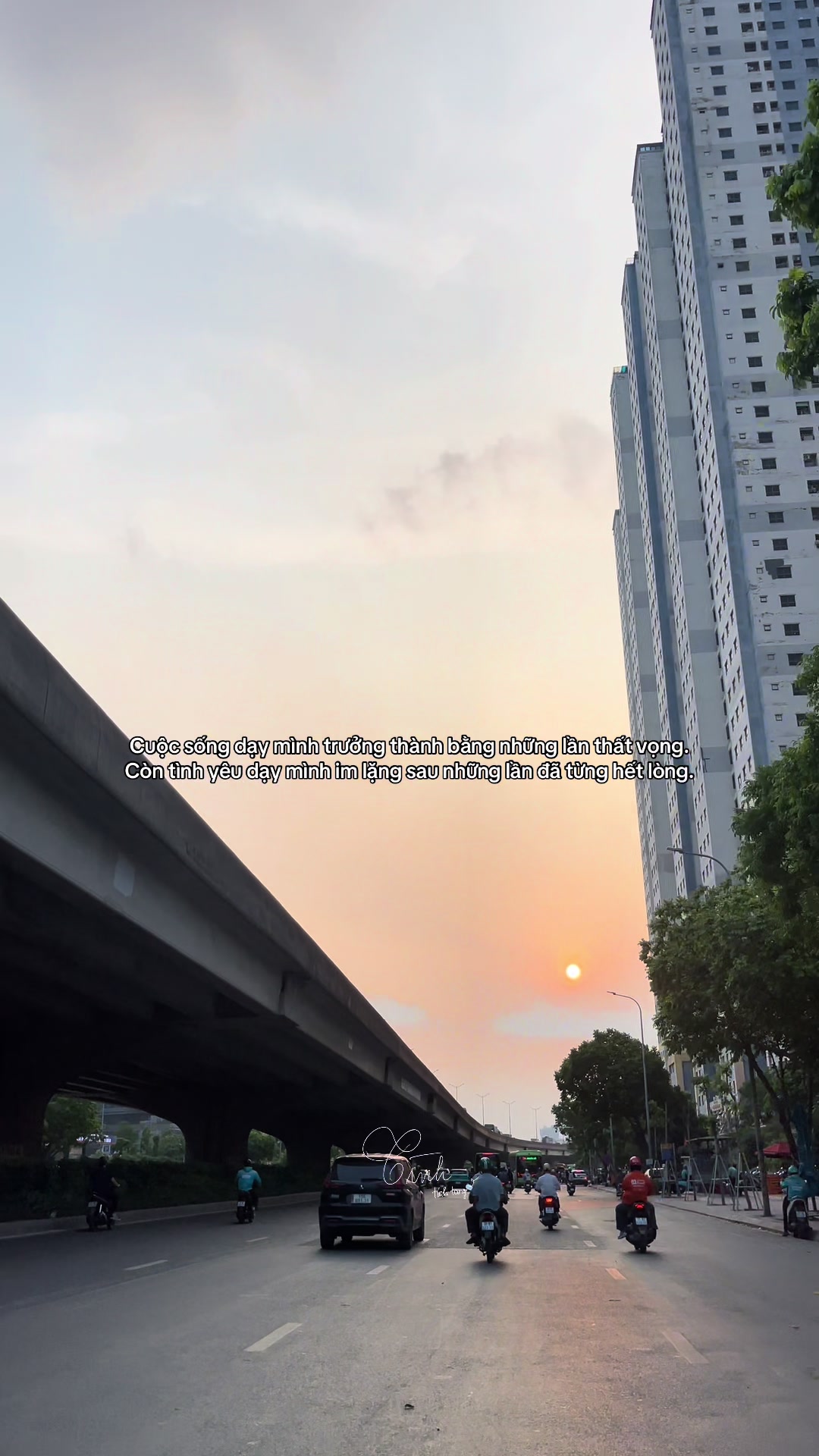 @Reels của T&igrave;nh 🫧