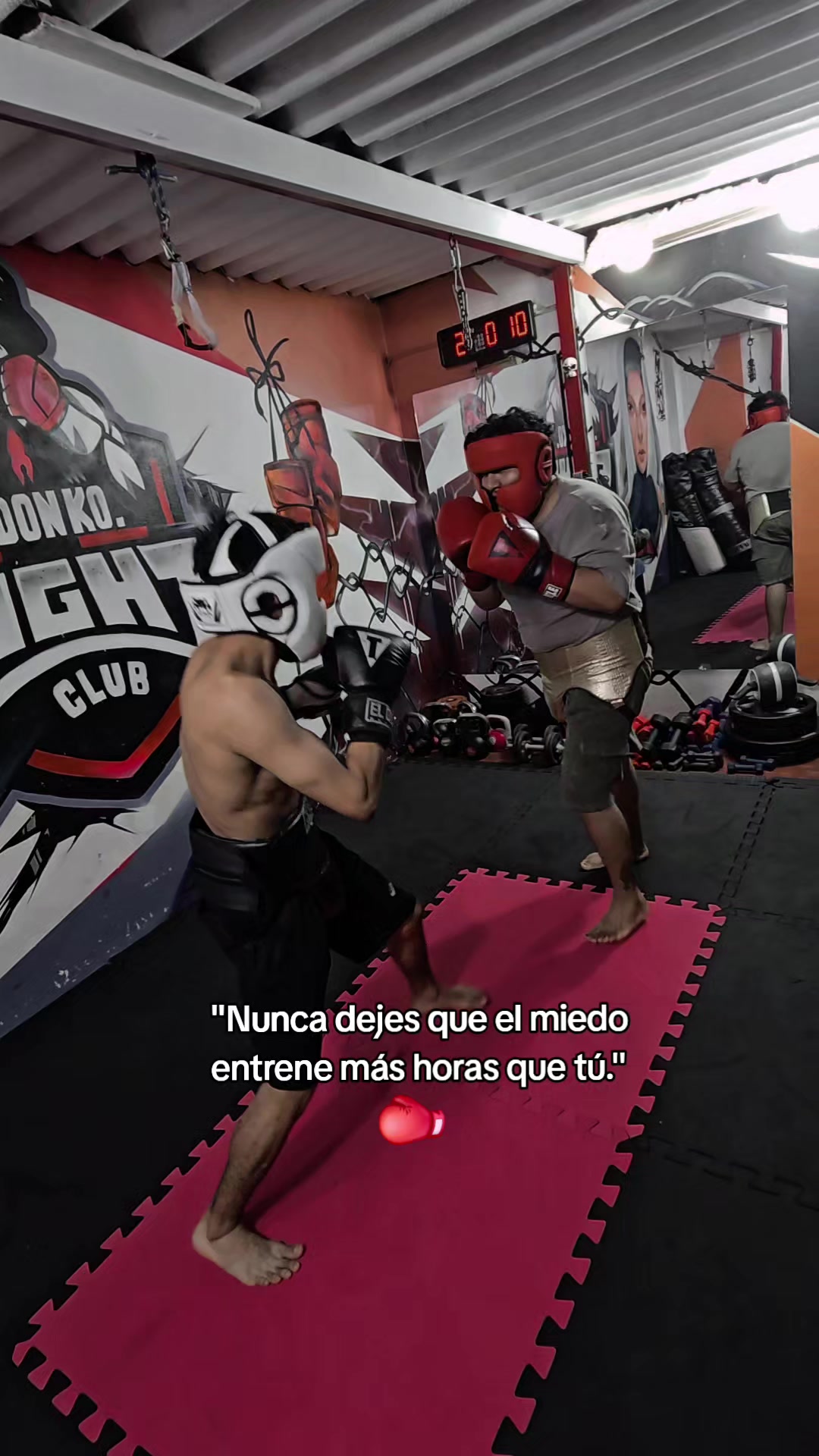 @EL DON K.O.🥊