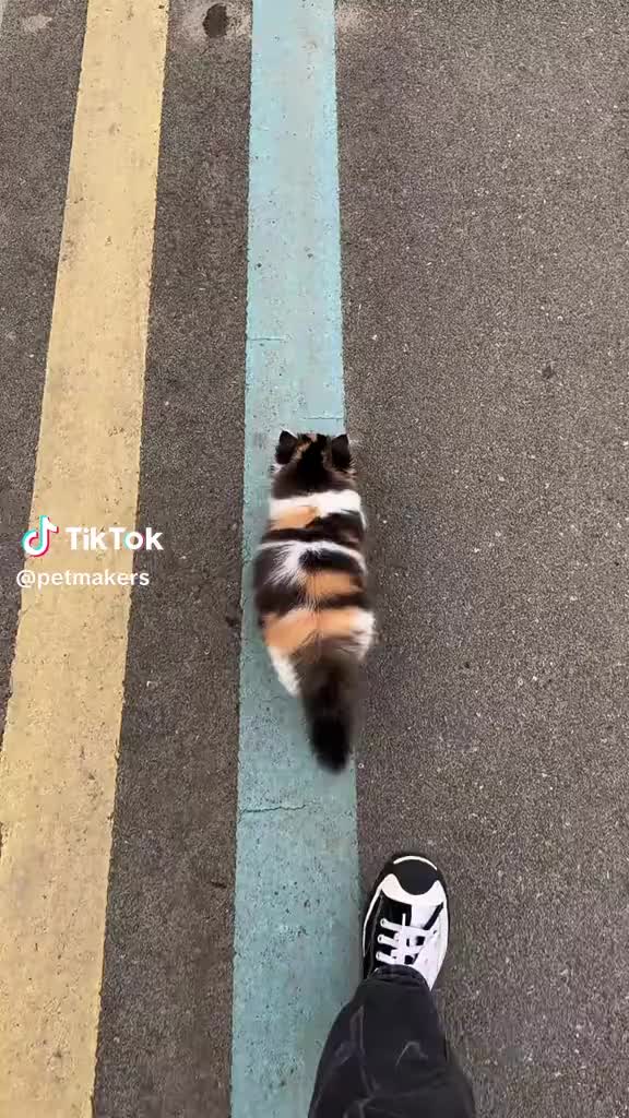 @とも