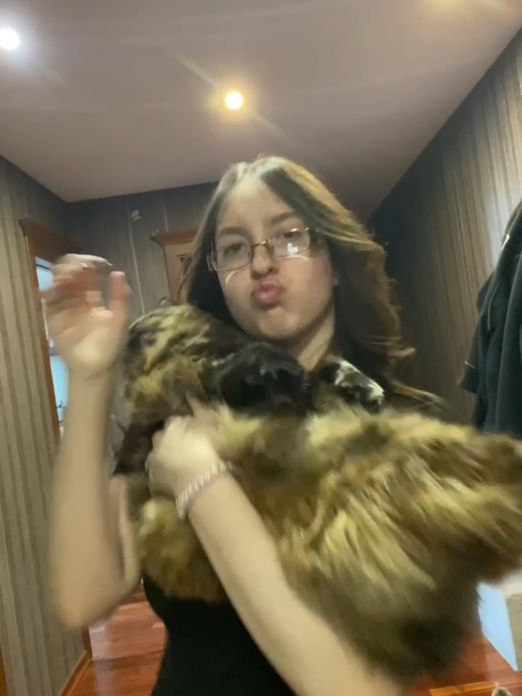 @кица