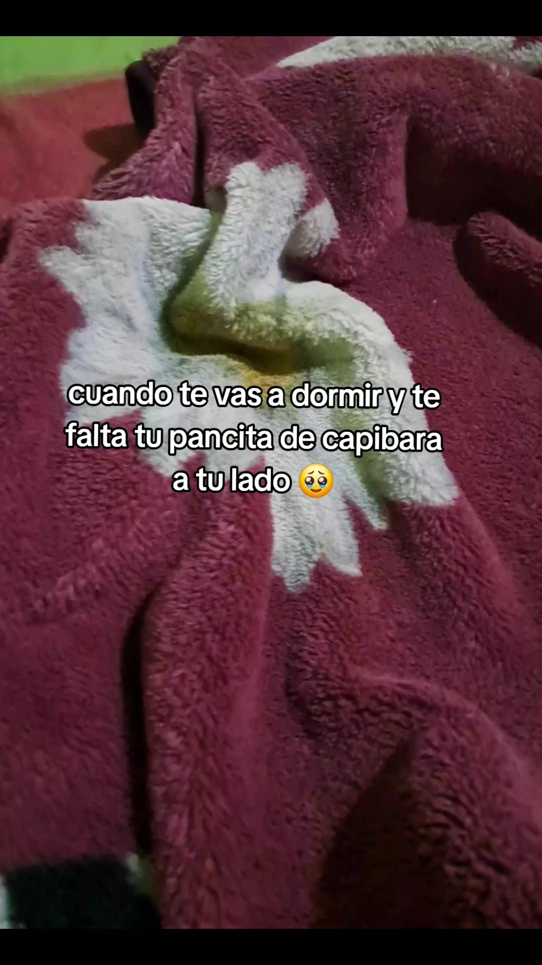 @Liz Avalos ๐