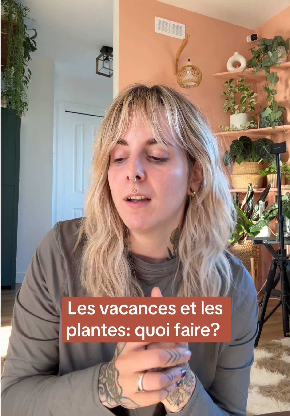 @Laura pigeon
