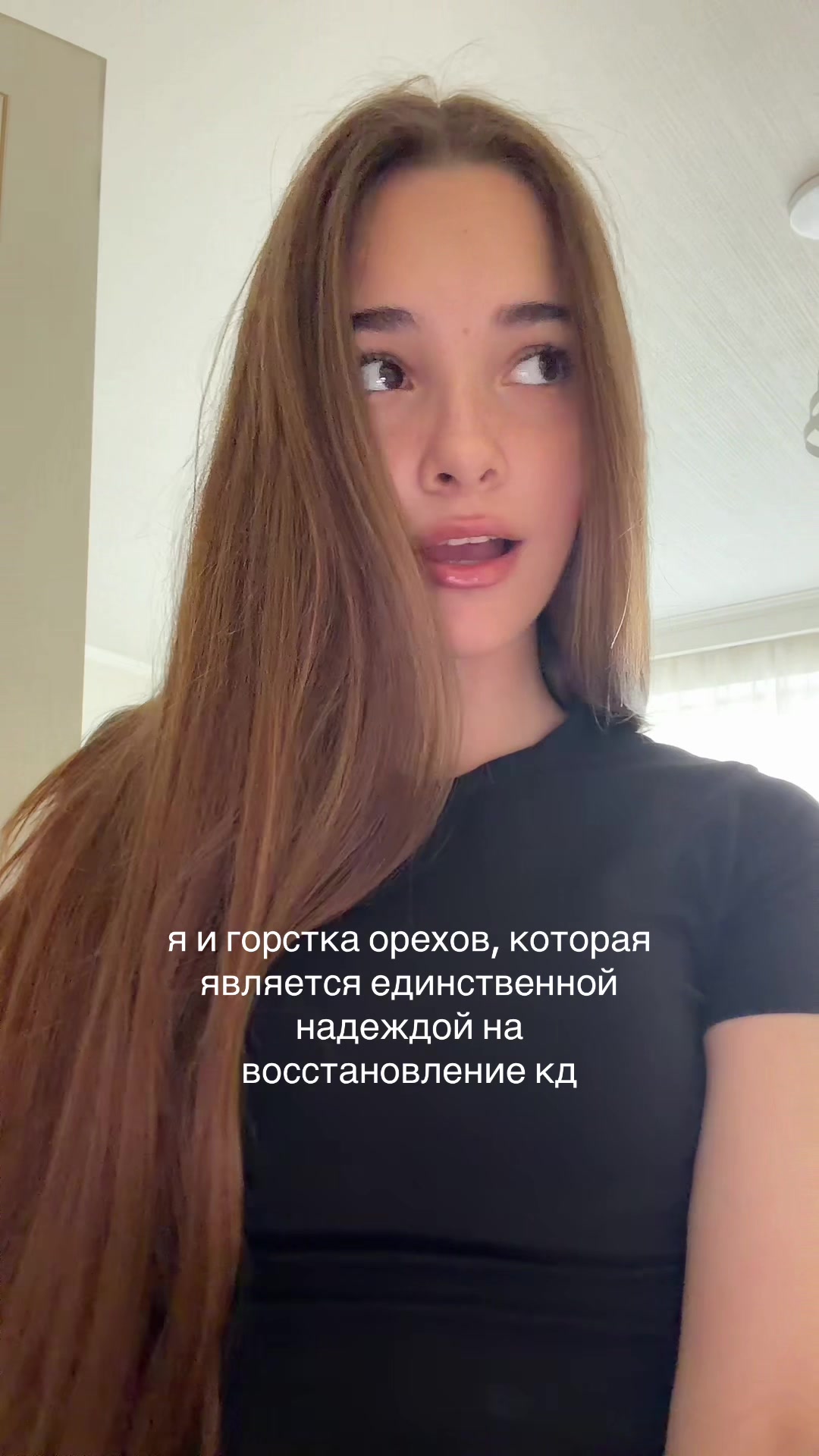 @alishaksiv