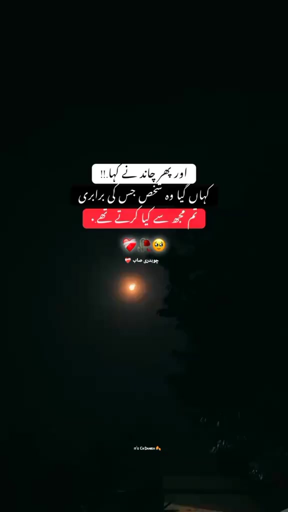 @°♡✧*𝑪𝐡💫D𝐚𝐧𝐢𝐬ℎ*✧♡°