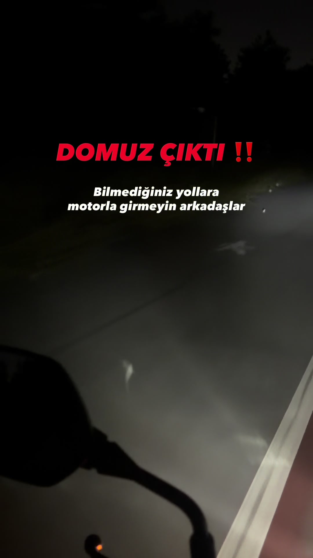 @ege