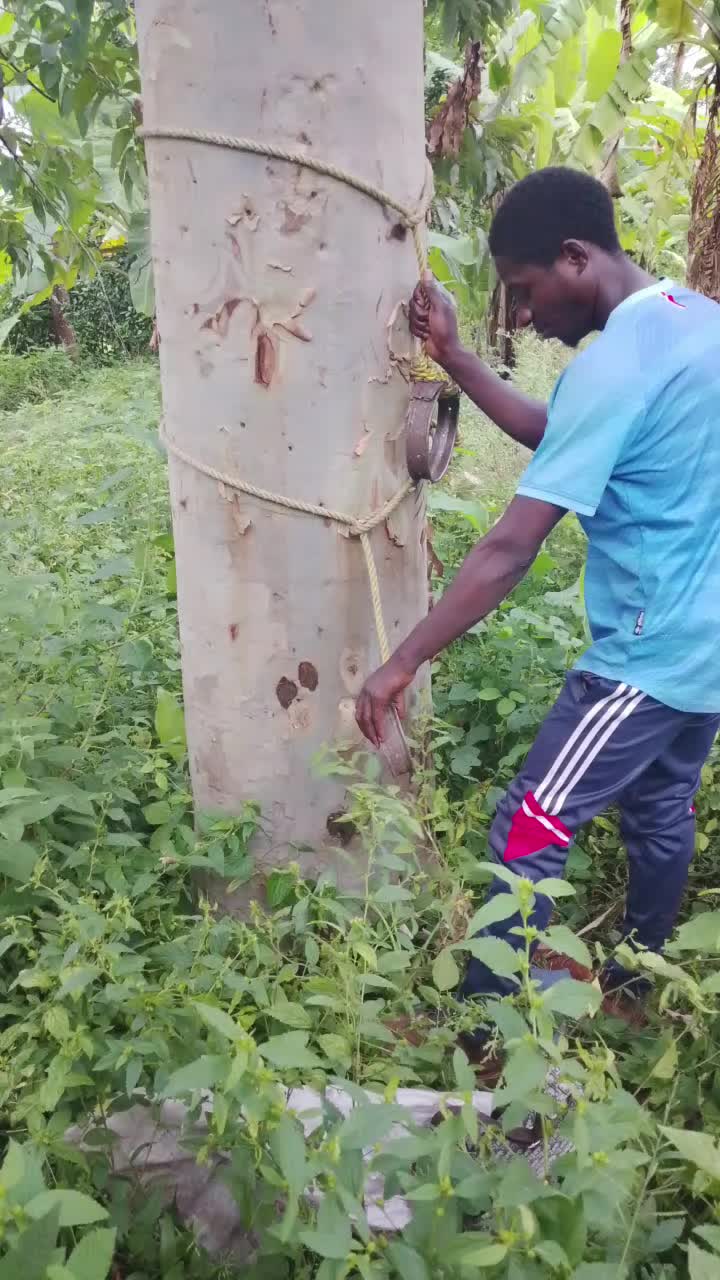 @AMIRI KASOME