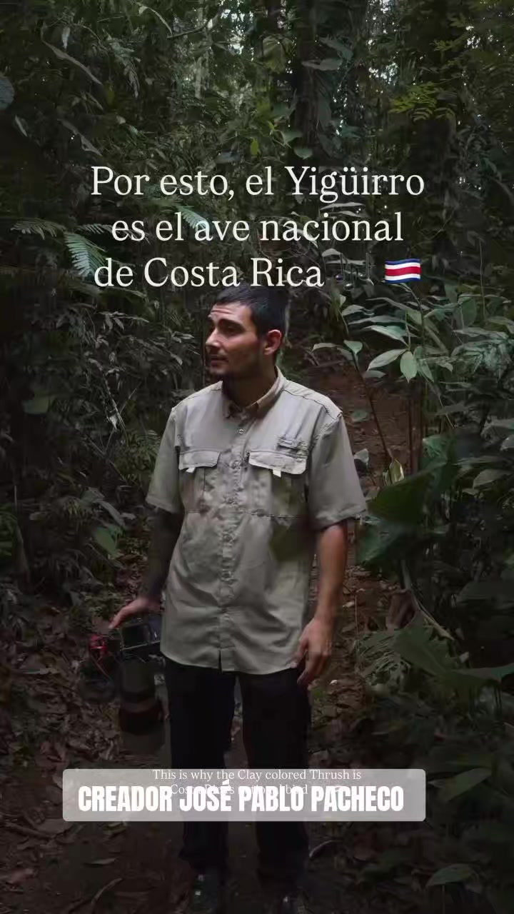 @Backdraft CR 🇨🇷