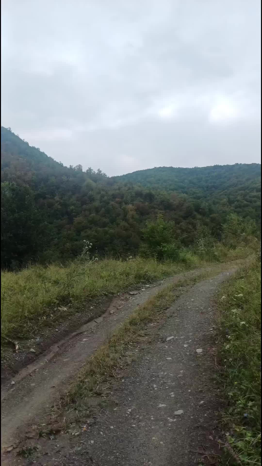 @hemid_abbasov_032