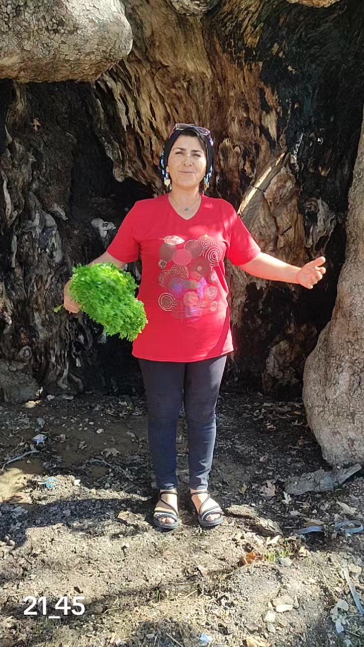 @Saliha Yavuz