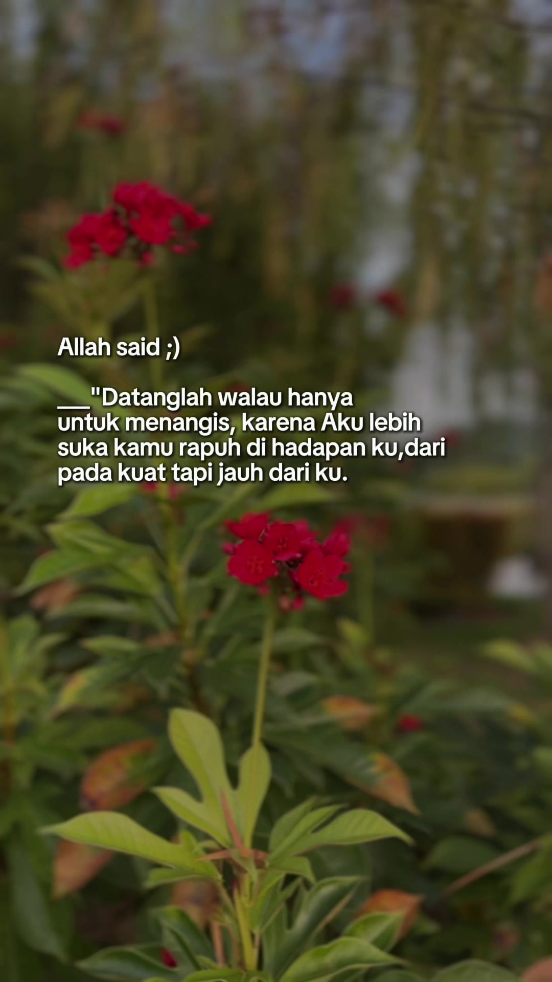 @Dewie Sam🌷