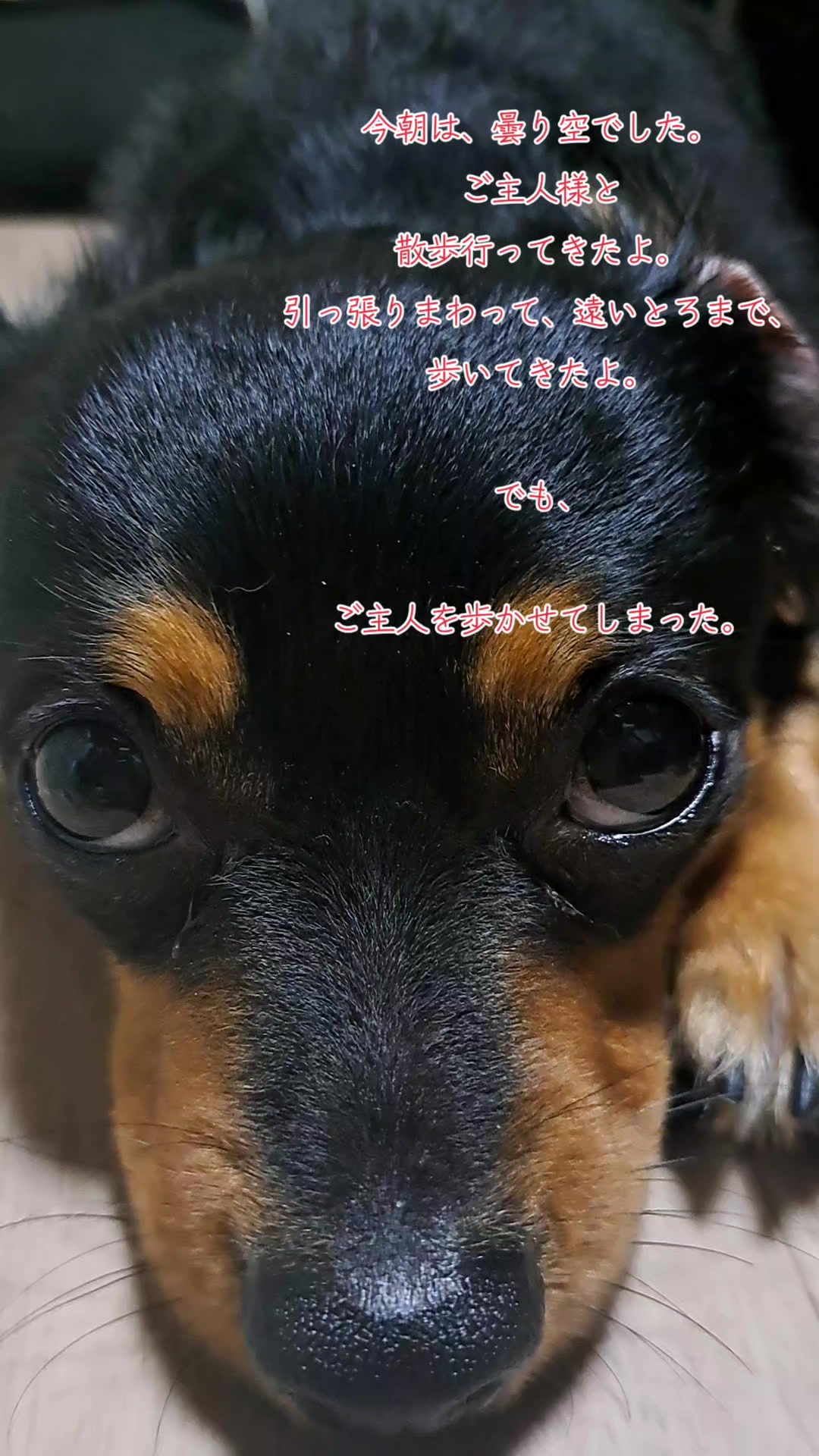 @タケヤッコ