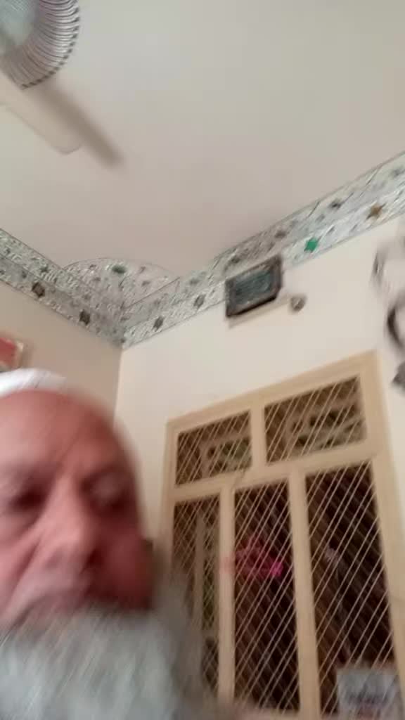 @hamzakhanh04