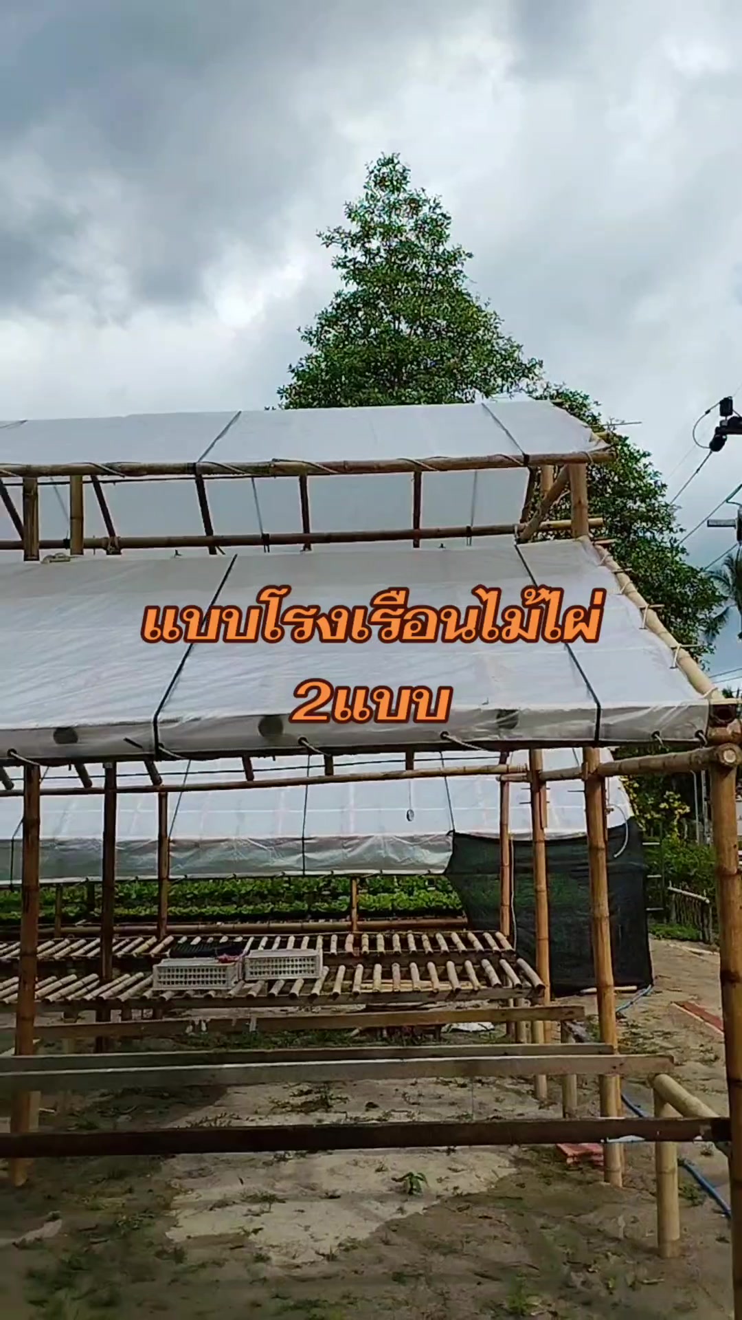 @มูมู่พาวิว