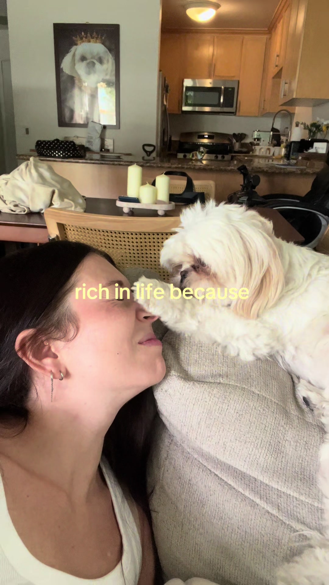 @Hugh the Shih Tzu