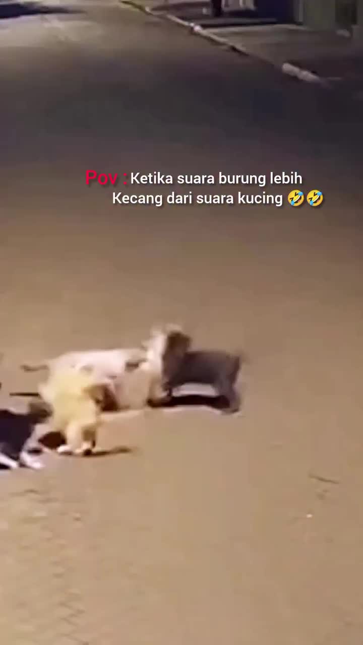 @Ran