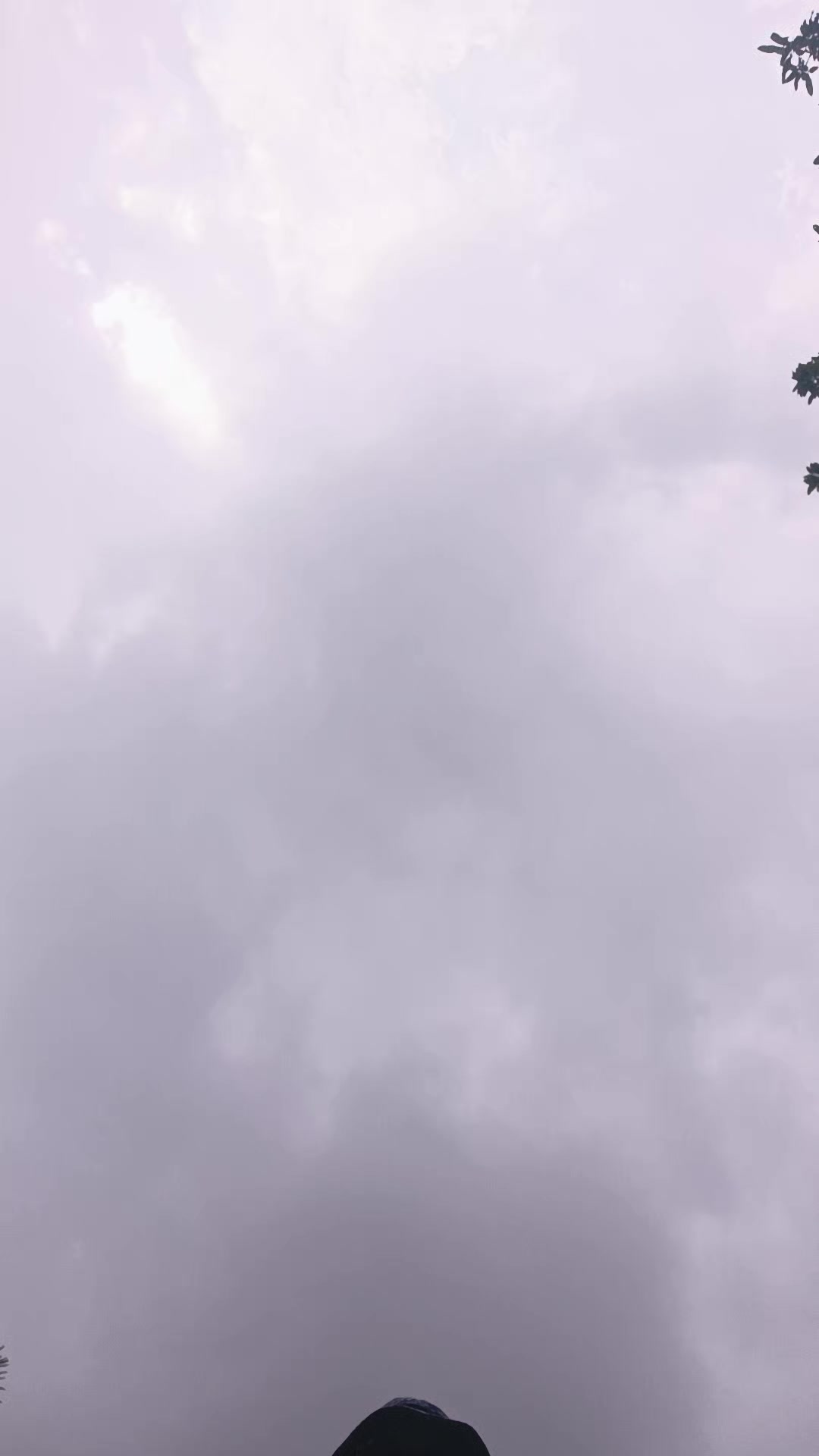 @iissae