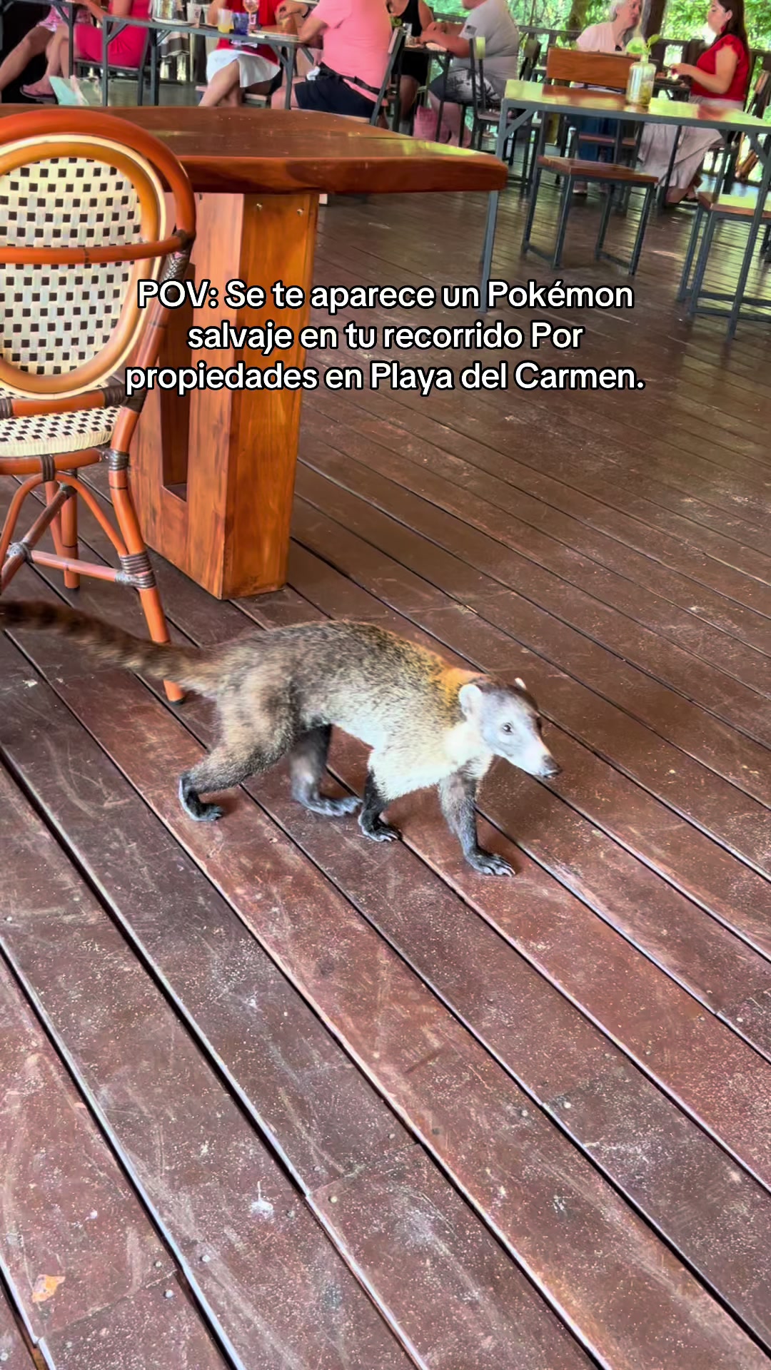 @soyluisangelherrera