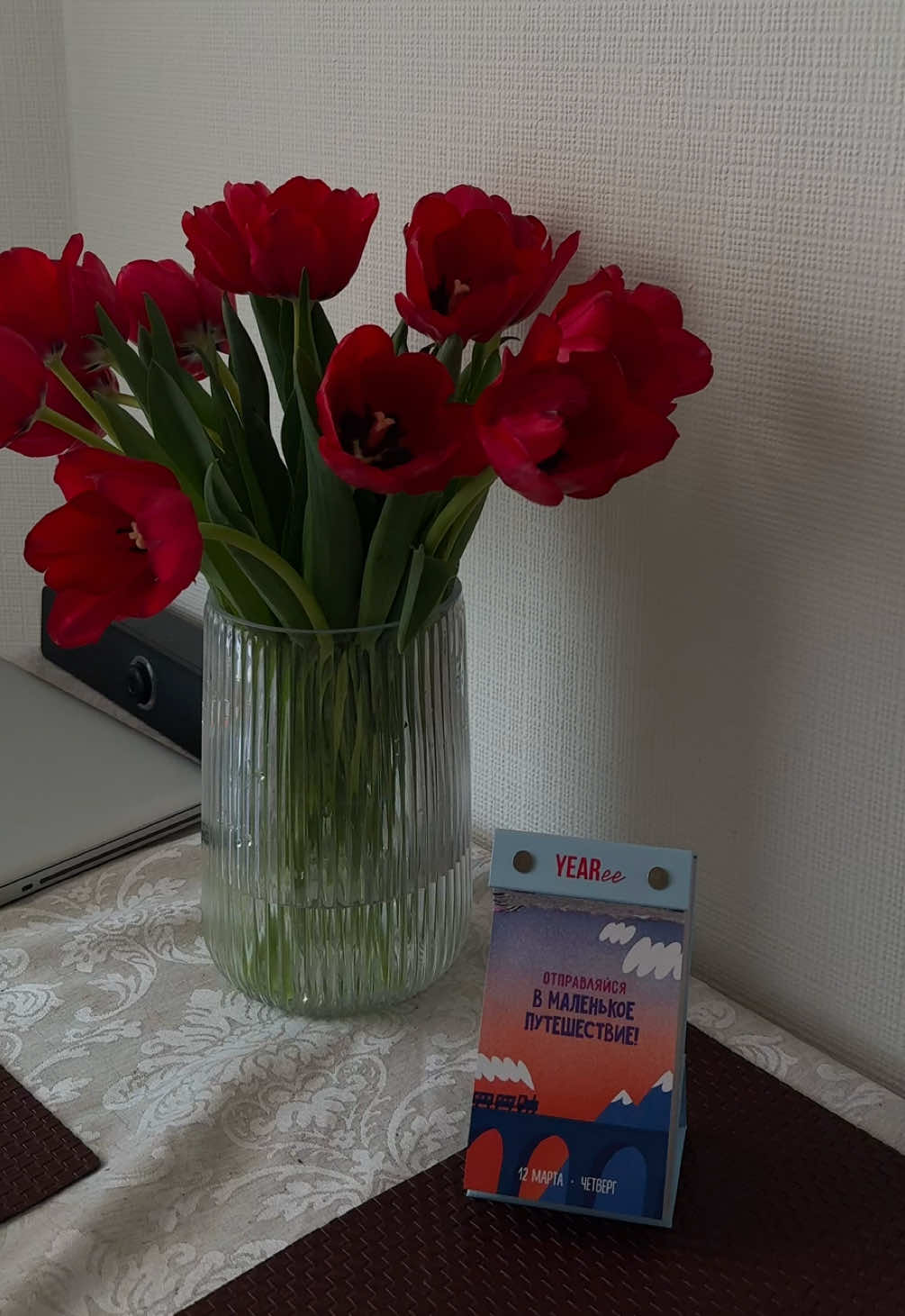 @Надежда Шамбер