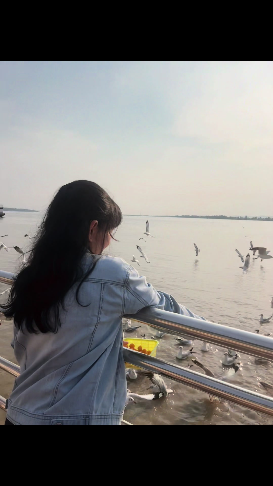 @Phyu
