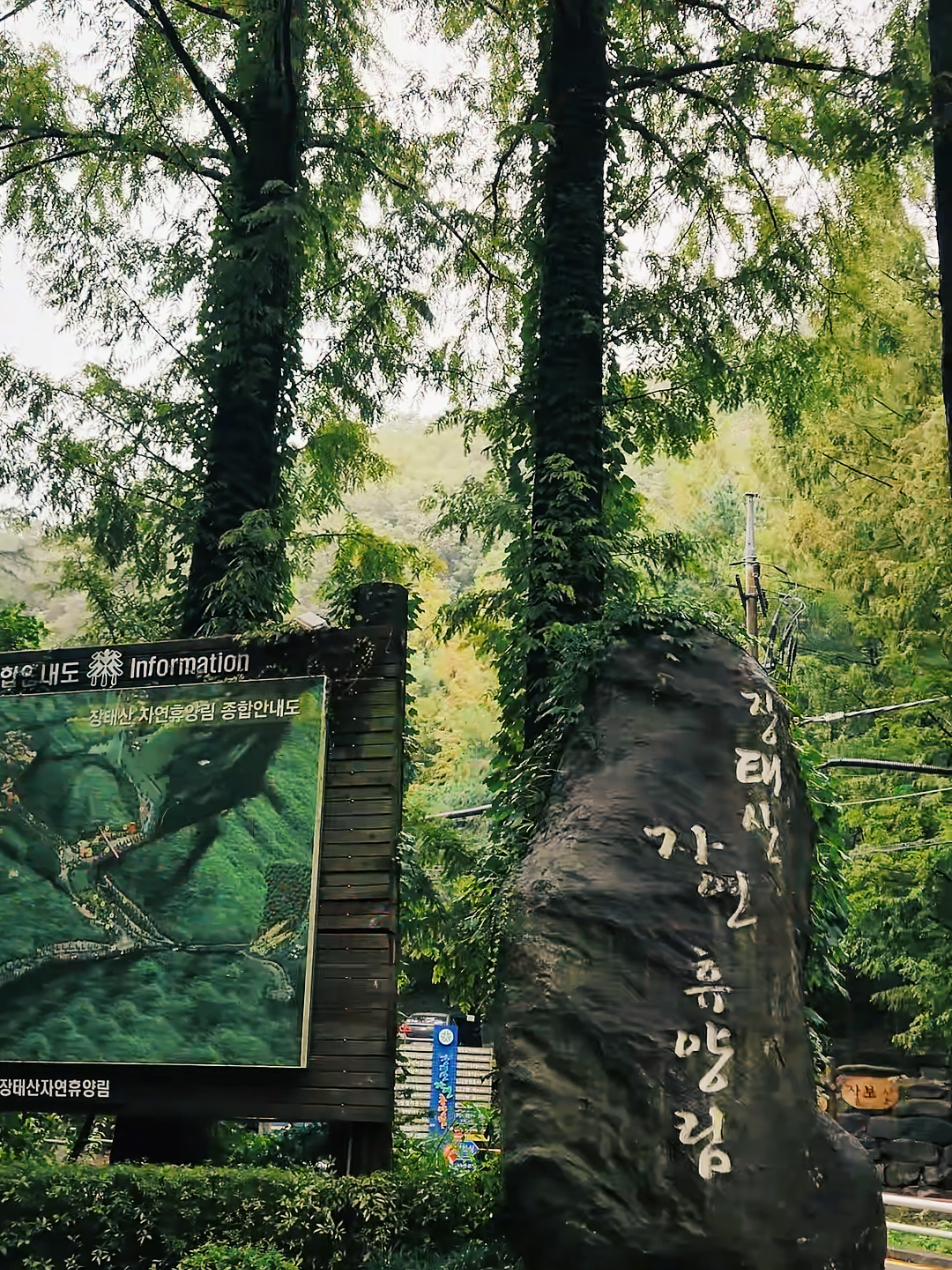 @로즈