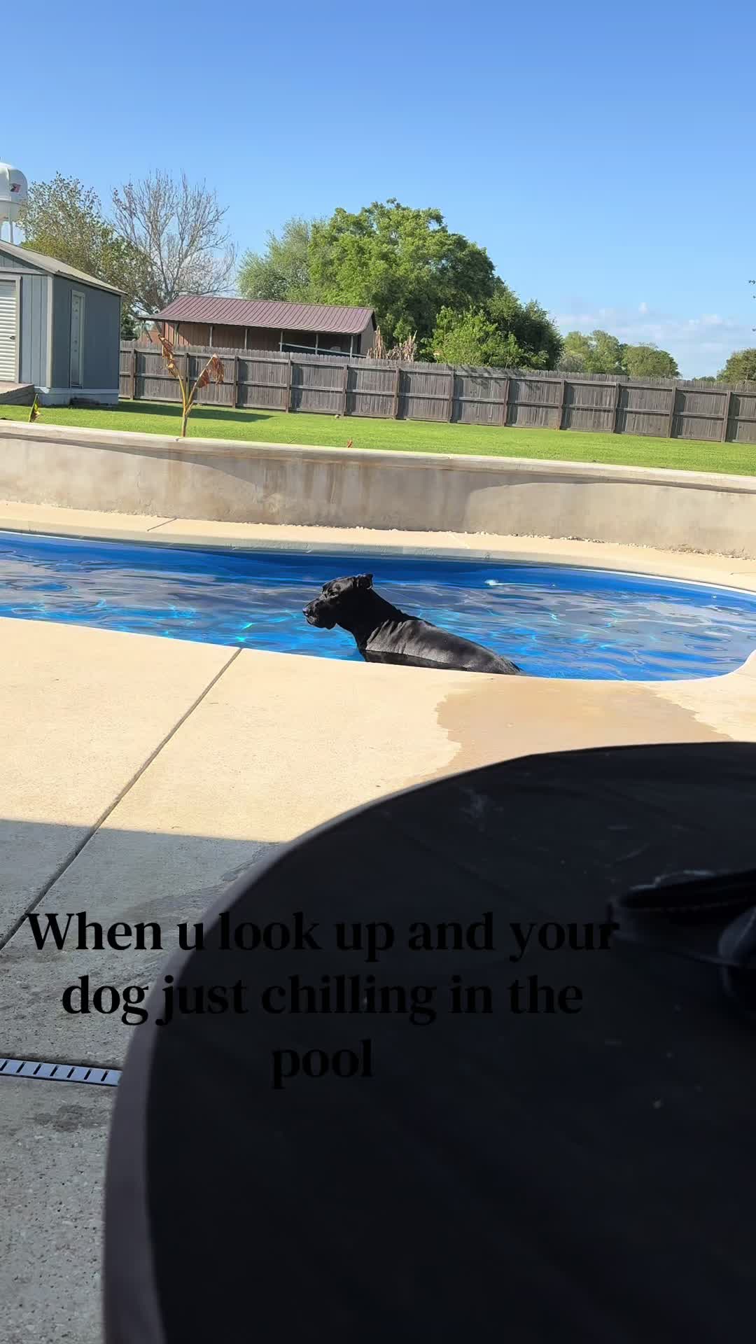 @DanesofTok