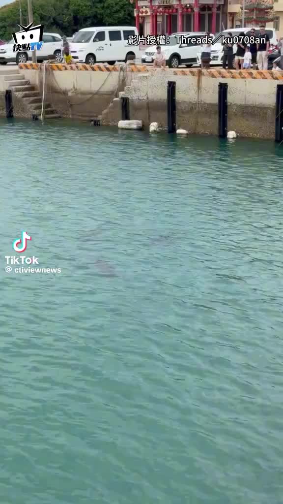 @ww.2260abb_219