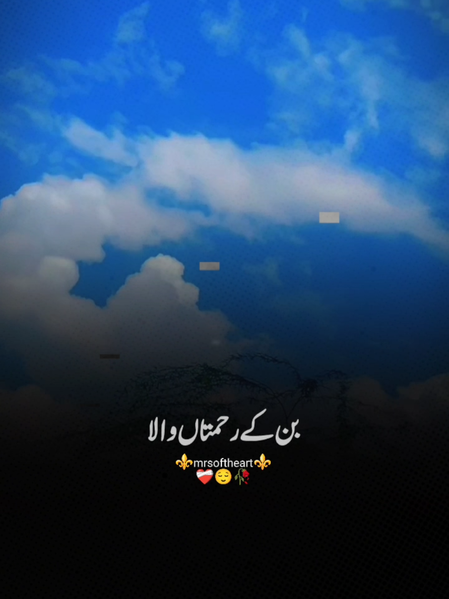 @❤️Seemi_Mughal❤️