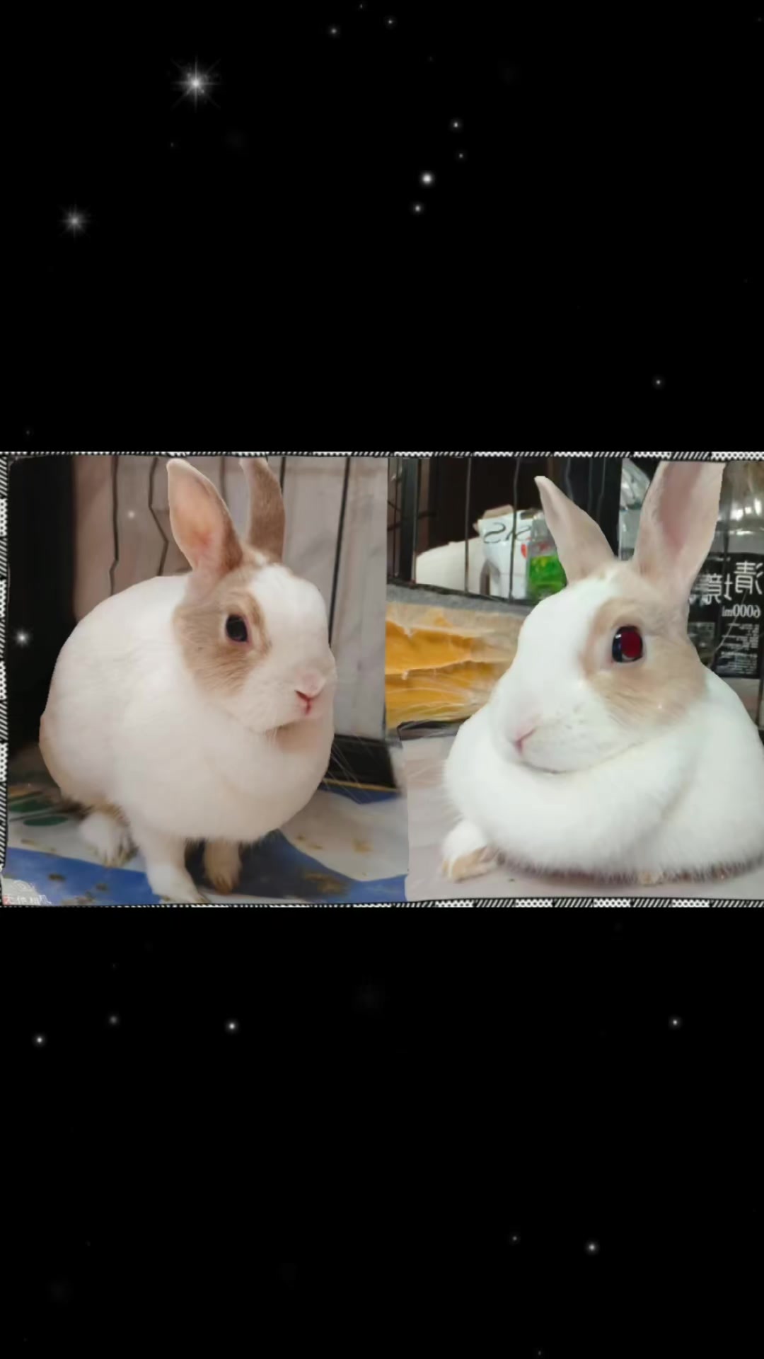 @涼子