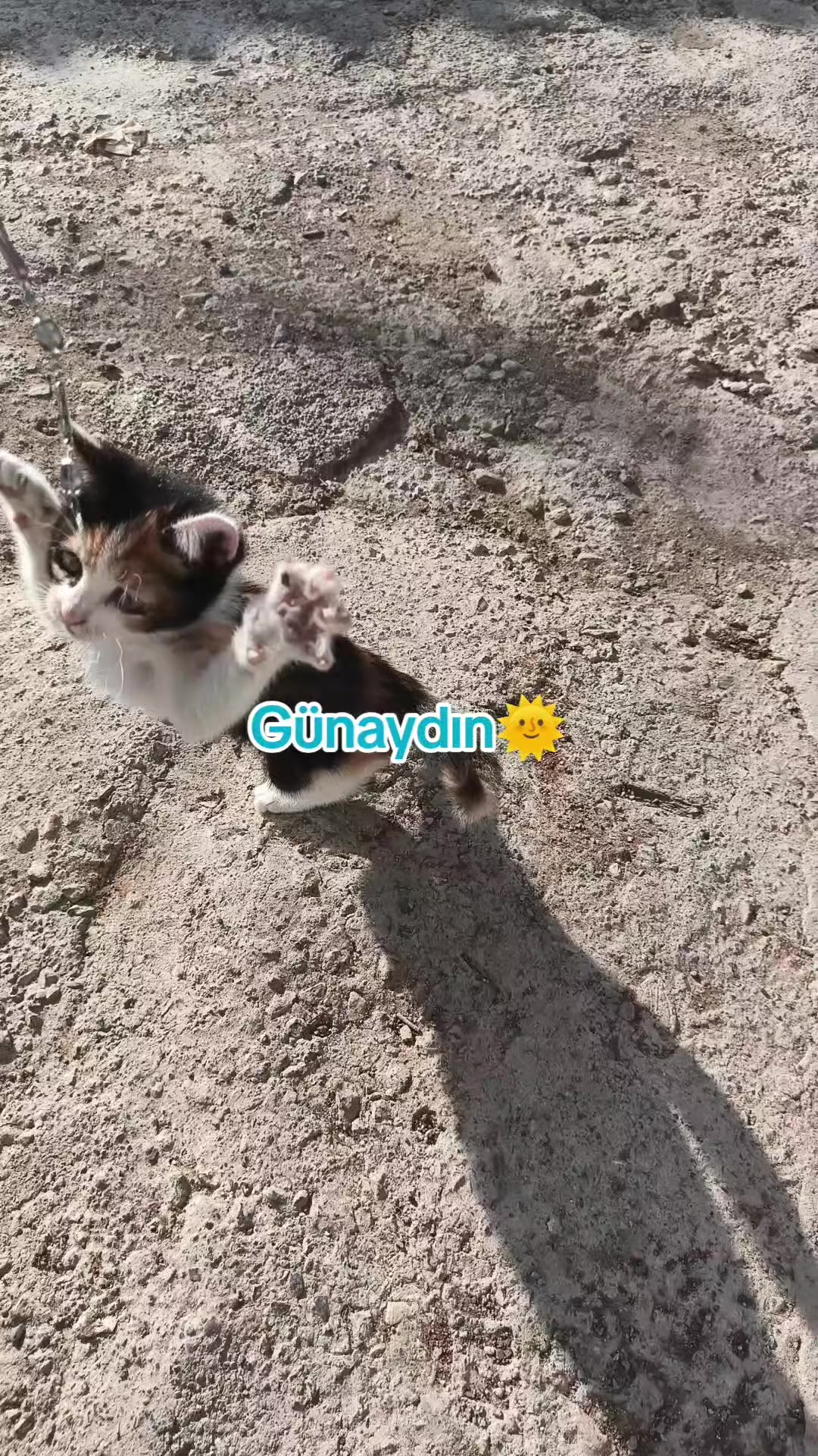 @🇹🇷👨🌾RAMAZAN🇦🇿USTA👨🌾