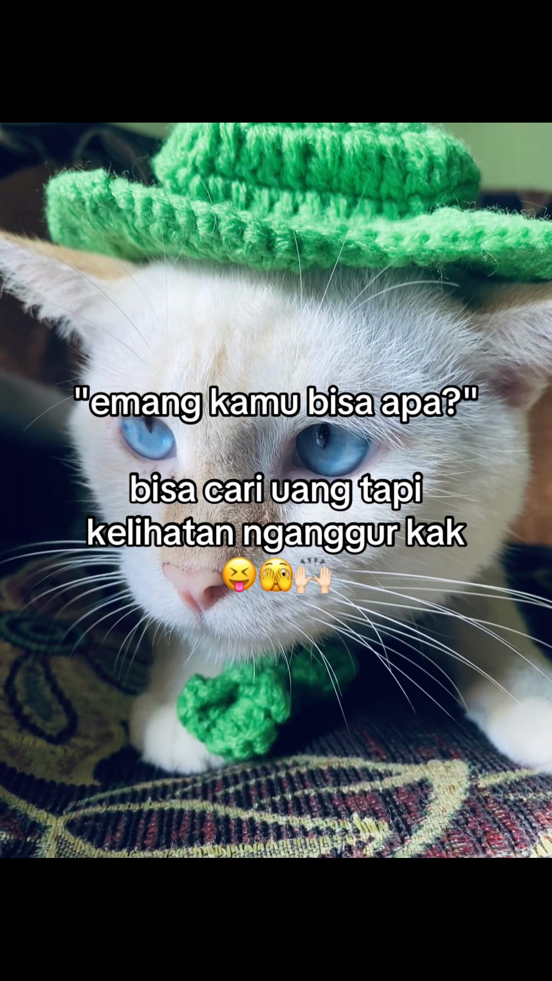 @𝒔𝒐𝒇𝒊𝒂 𝒔𝒕𝒐𝒓𝒆