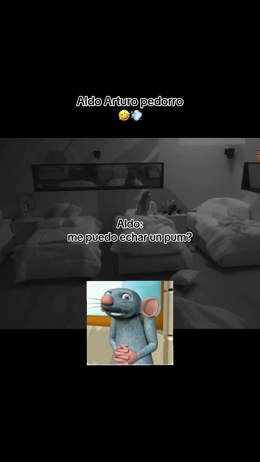 @mansión vip