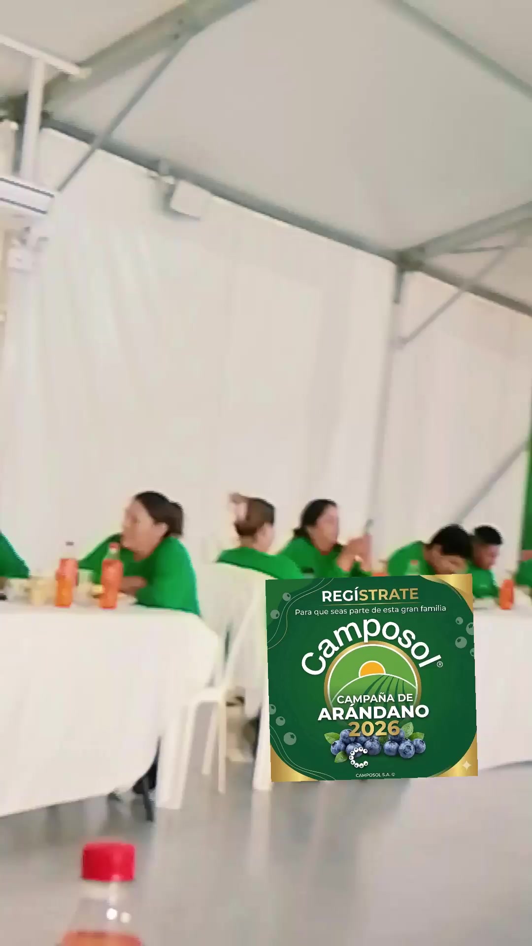 @Embajadora de camposol